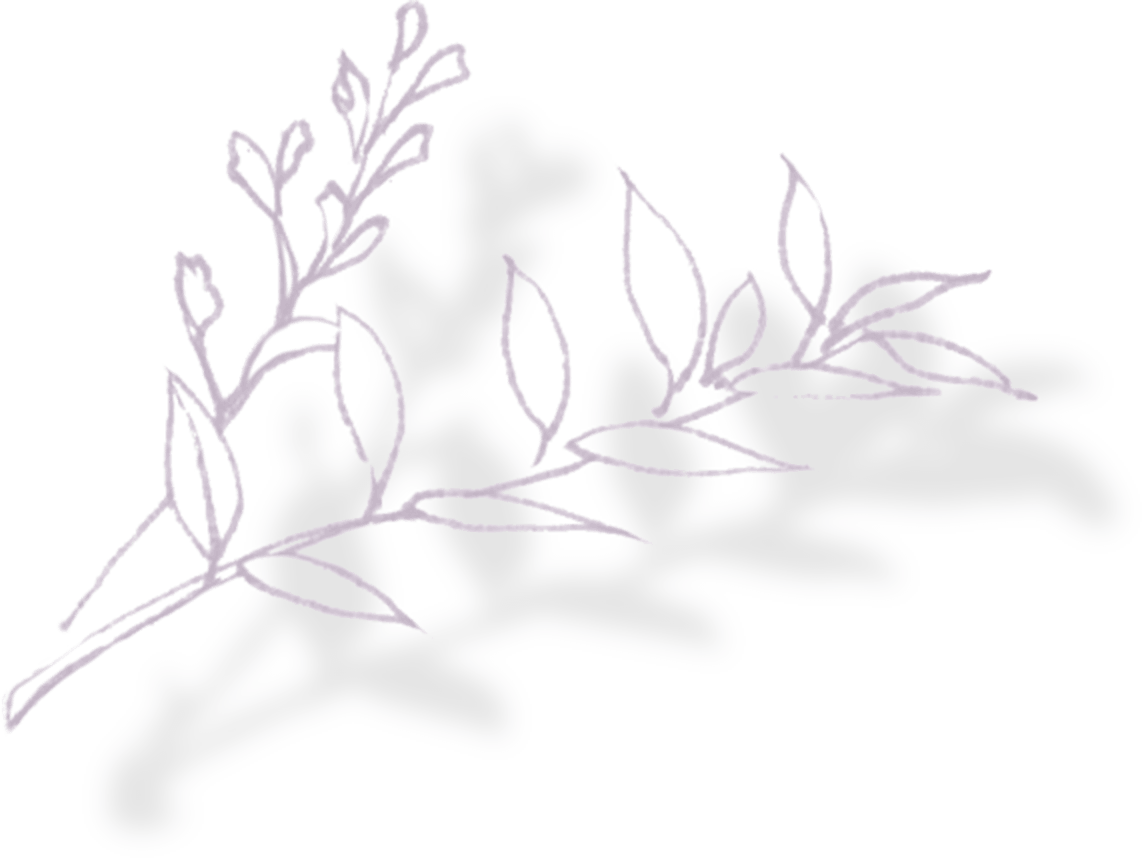 レグリースの葉イメージ左1