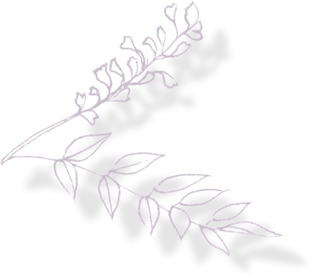 レグリースの葉イメージ左2