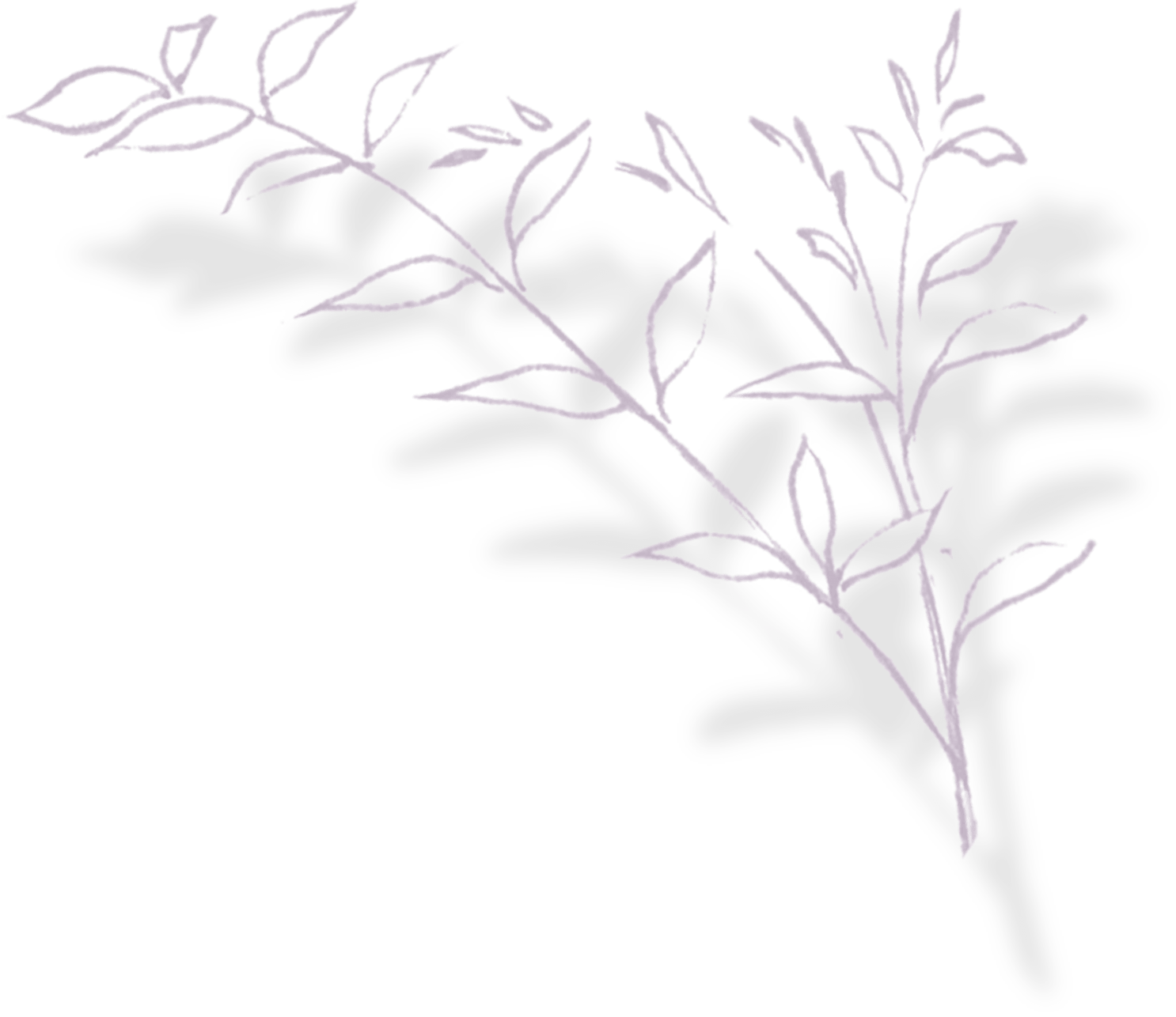 レグリースの葉イメージ右2